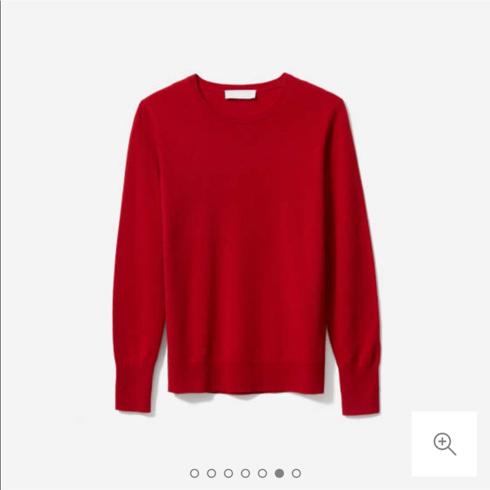 NWOT Everlane Cashmere Crew